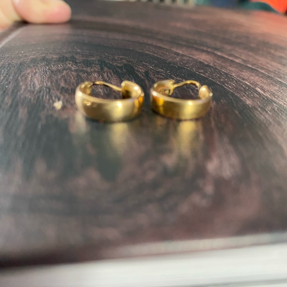 Gold Hoop Earrings